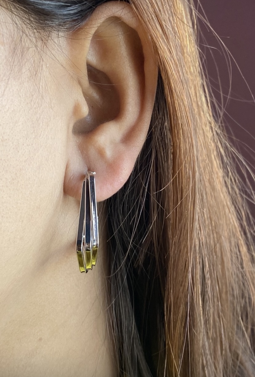 Silver Stainless Earrings/ Hoops