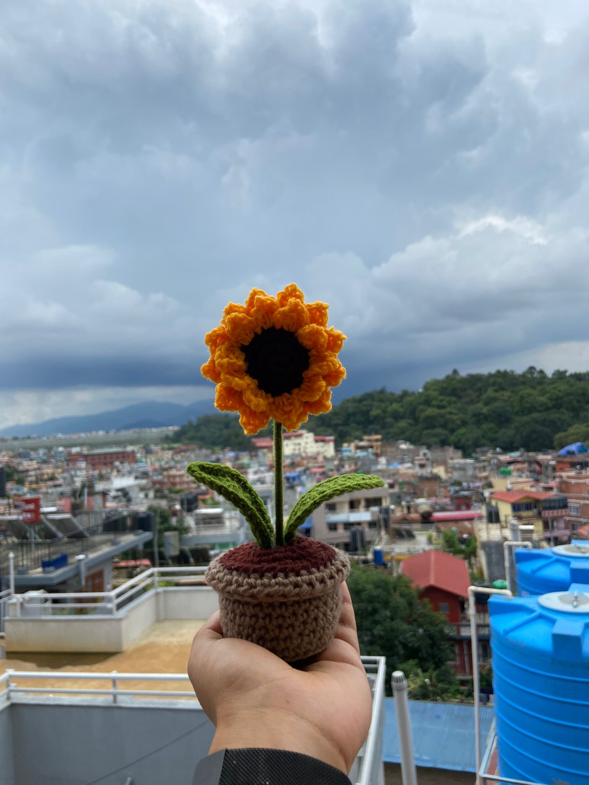 Crochet sunflower pot