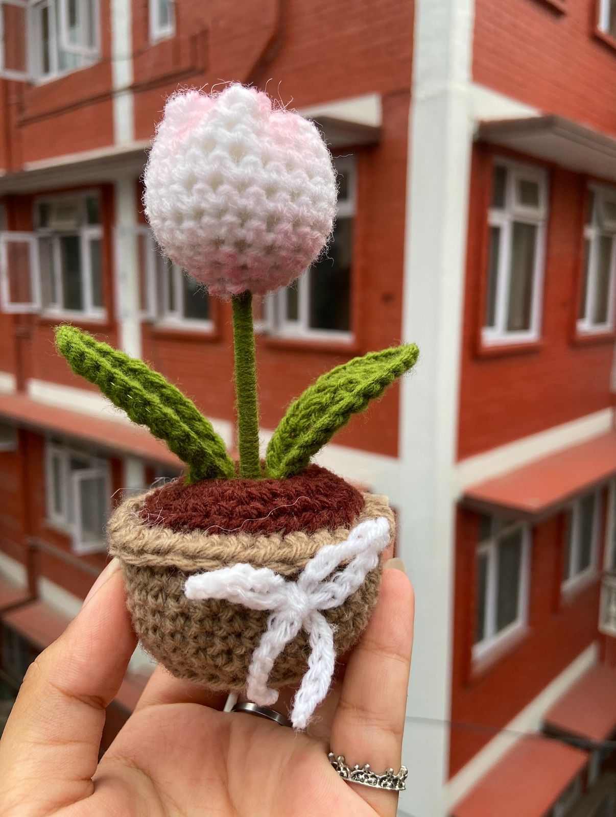 Cute mini Crochet Tulip Pot
