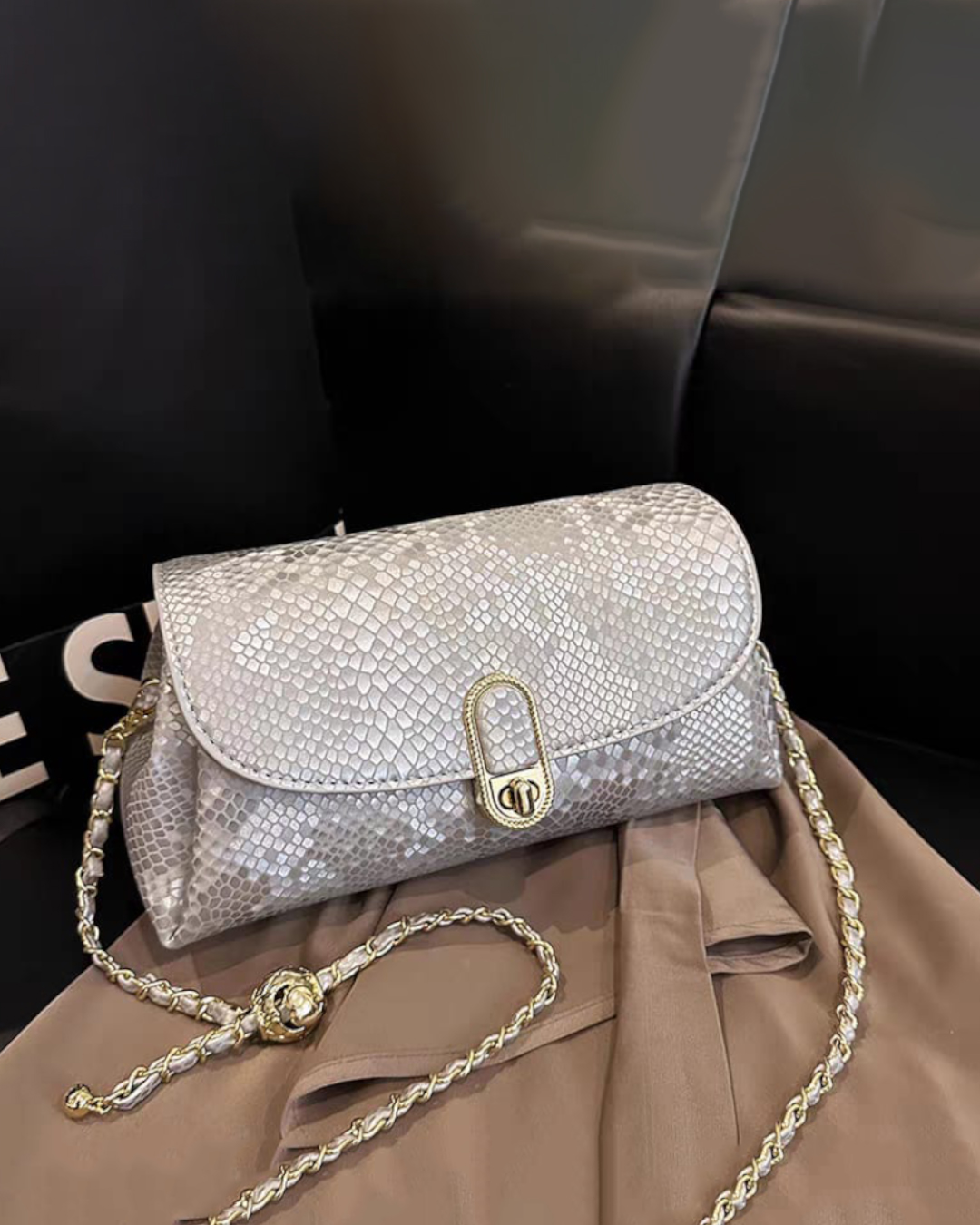 Denara Elira Clutch | Elegant Party & Evening Clutch Bag for Women